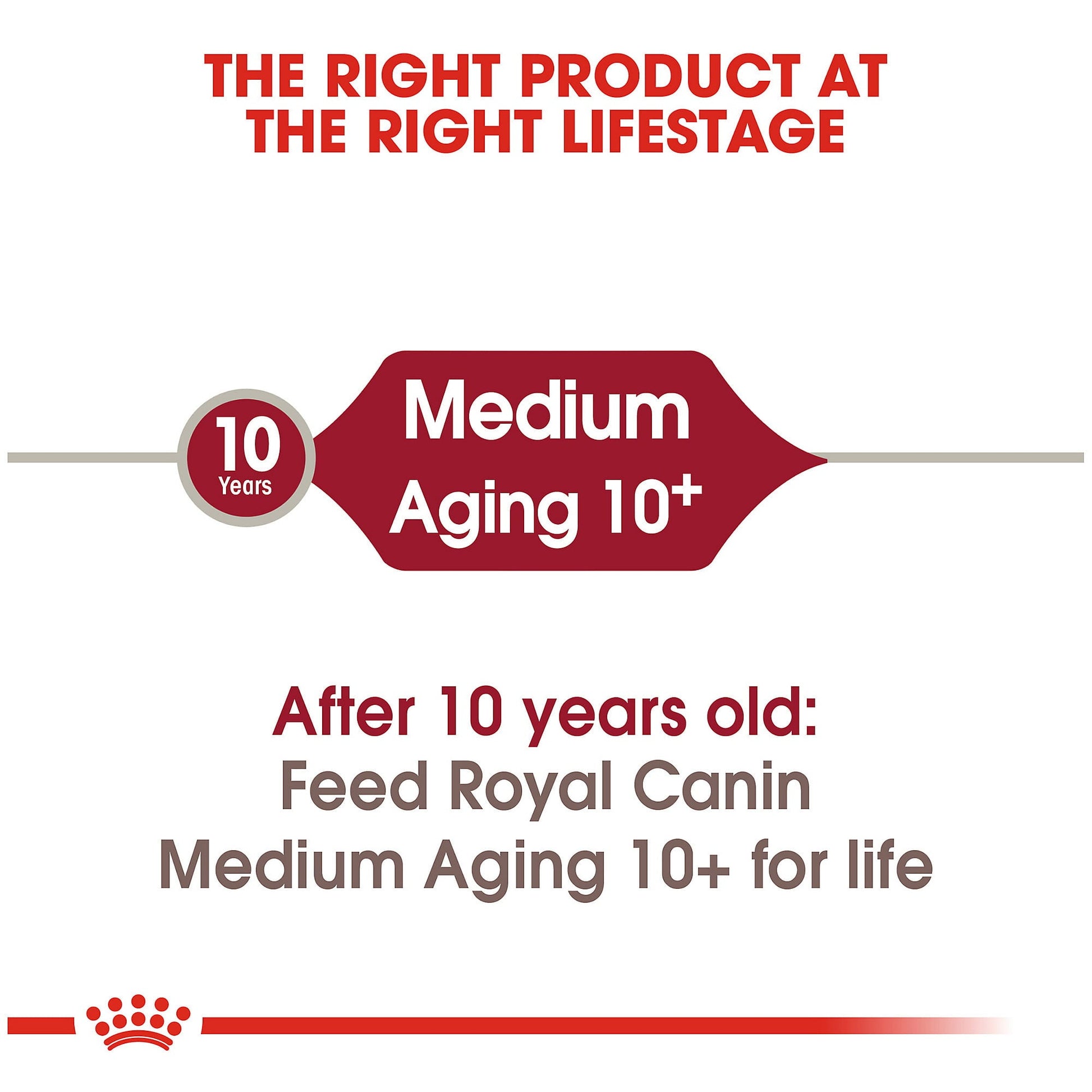 Royal Canin Medium Aging 10+ Dog Food - PetWorld