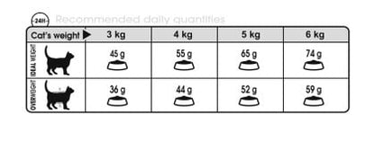Royal Canin Urinary Care Dry Cat Food - PetWorld