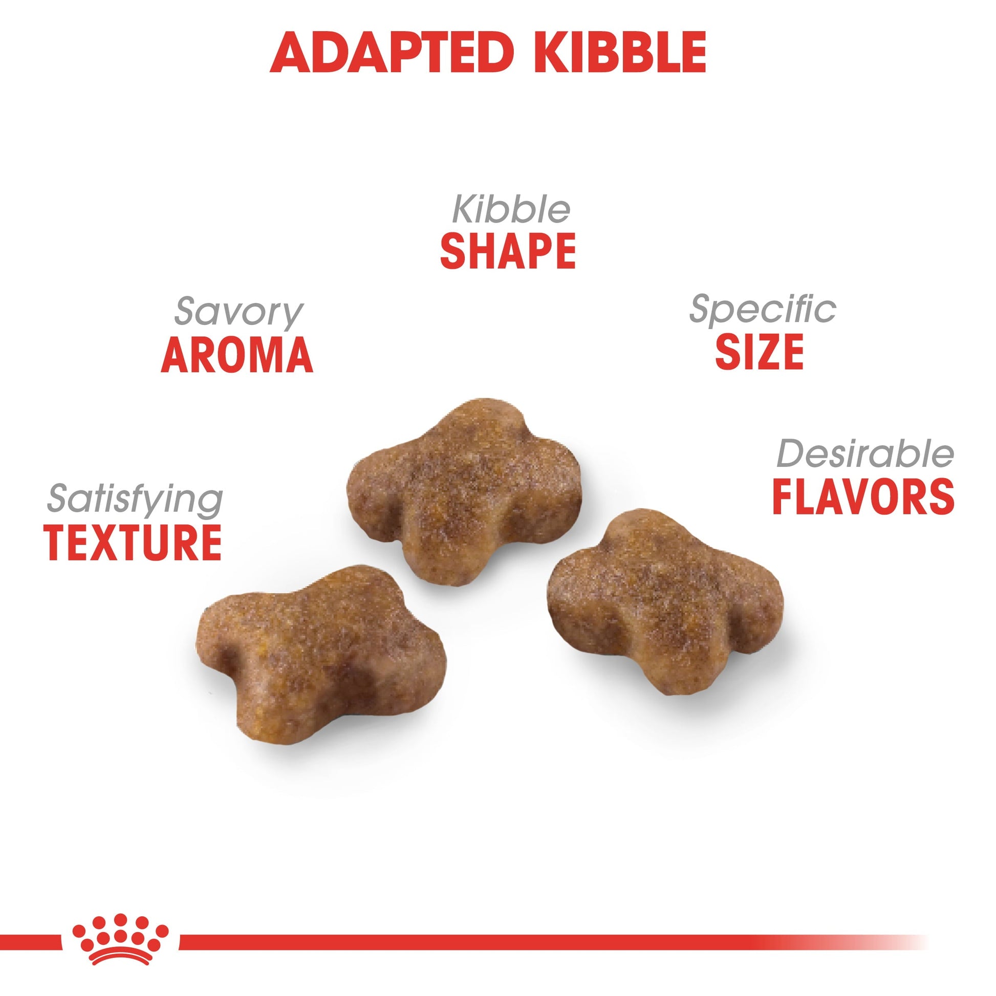 Royal Canin Kitten Dry Cat Food - PetWorld