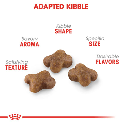 Royal Canin Kitten Dry Cat Food - PetWorld