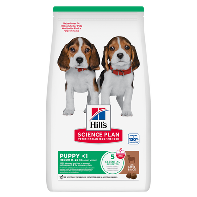 Hill's Science Plan Puppy Medium Breed with Lamb & Rice dry dog food, front of pack