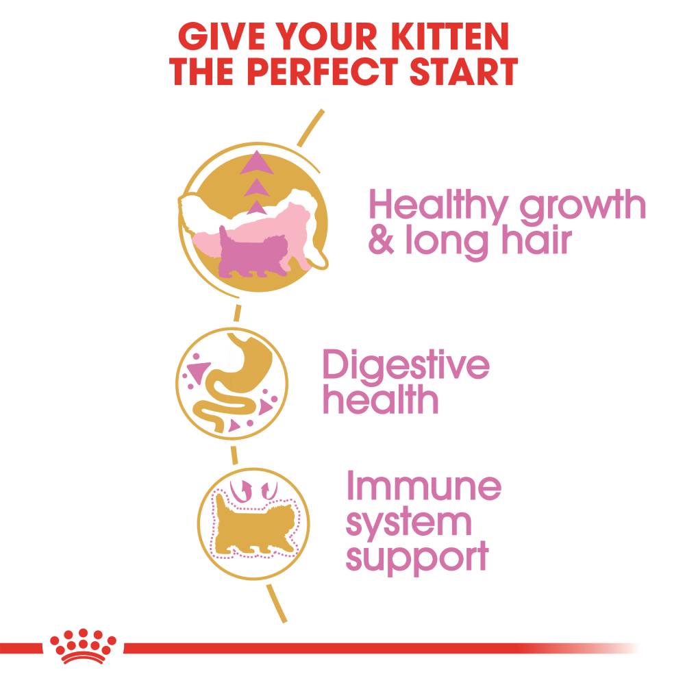 Royal Canin Persian Kitten 30 - PetWorld
