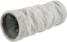 grey cat tunnel