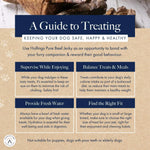 Guide to treating dog
