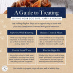Guide to treating dog safety, happiness, and health