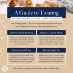 Dog treat guide with tips on safe and healthy pet care