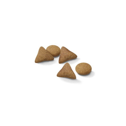 Royal Canin Indoor Appetite Control Cat Food - PetWorld