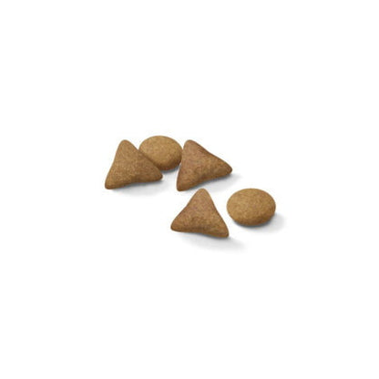Royal Canin Indoor Appetite Control Cat Food - PetWorld