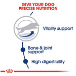 Royal Canin Maxi Adult 5+ Dog Food - PetWorld
