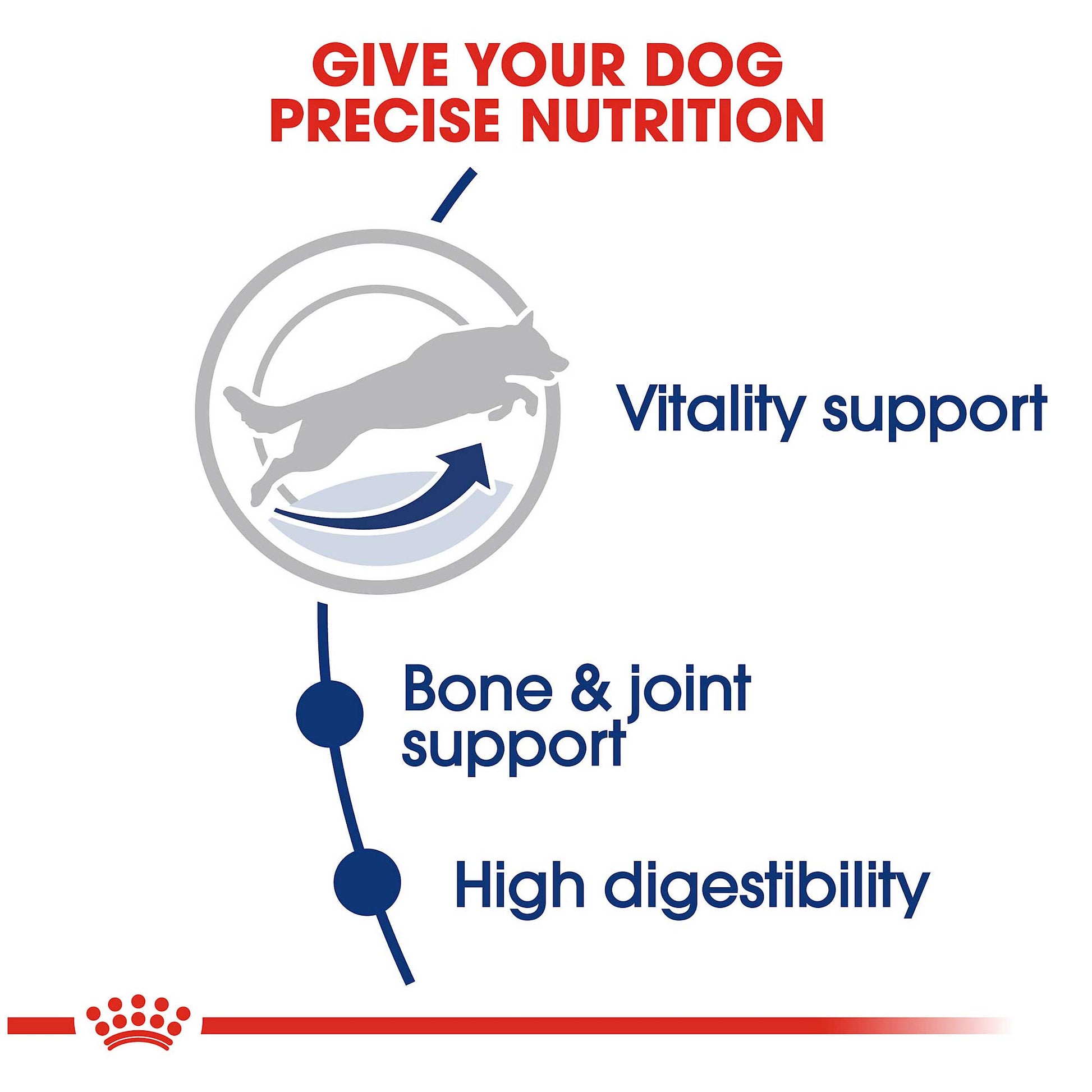 Royal Canin Maxi Adult 5+ Dog Food - PetWorld