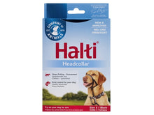 halti dog head collar size 3