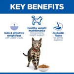 Chicken-flavoured cat food supporting safe weight loss and gentle digestion