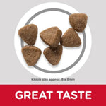 Chicken-flavoured kitten food supporting immunity, brain development, and bone strength
