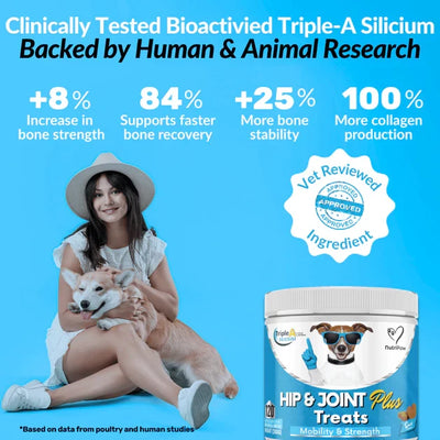NutriPaw Hip and Joint Plus Treats for Dogs, 120 Chews