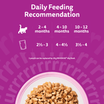 Whiskas Kitten daily feeding recommendation in pouches by age, 2 to 12 months