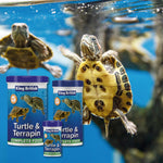 King British Turtle and Terrapin Complete Food 20g, 80g and 200g