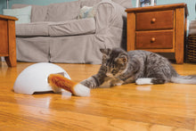 Fox Den Toy Automatic Cat Teaser