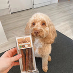 JR Pure Venison Sticks 50g