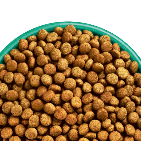 James Wellbeloved Senior Chicken and Rice 2kg - PetWorld