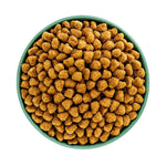 Hypoallergenic dog kibble