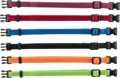 junior set of puppy collars