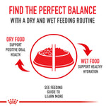 Royal Canin Hair and Skin Care Cat Food - PetWorld