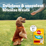 Spaniel sitting for a Pedigree Tasty Minis treat outdoors, with resealable pack