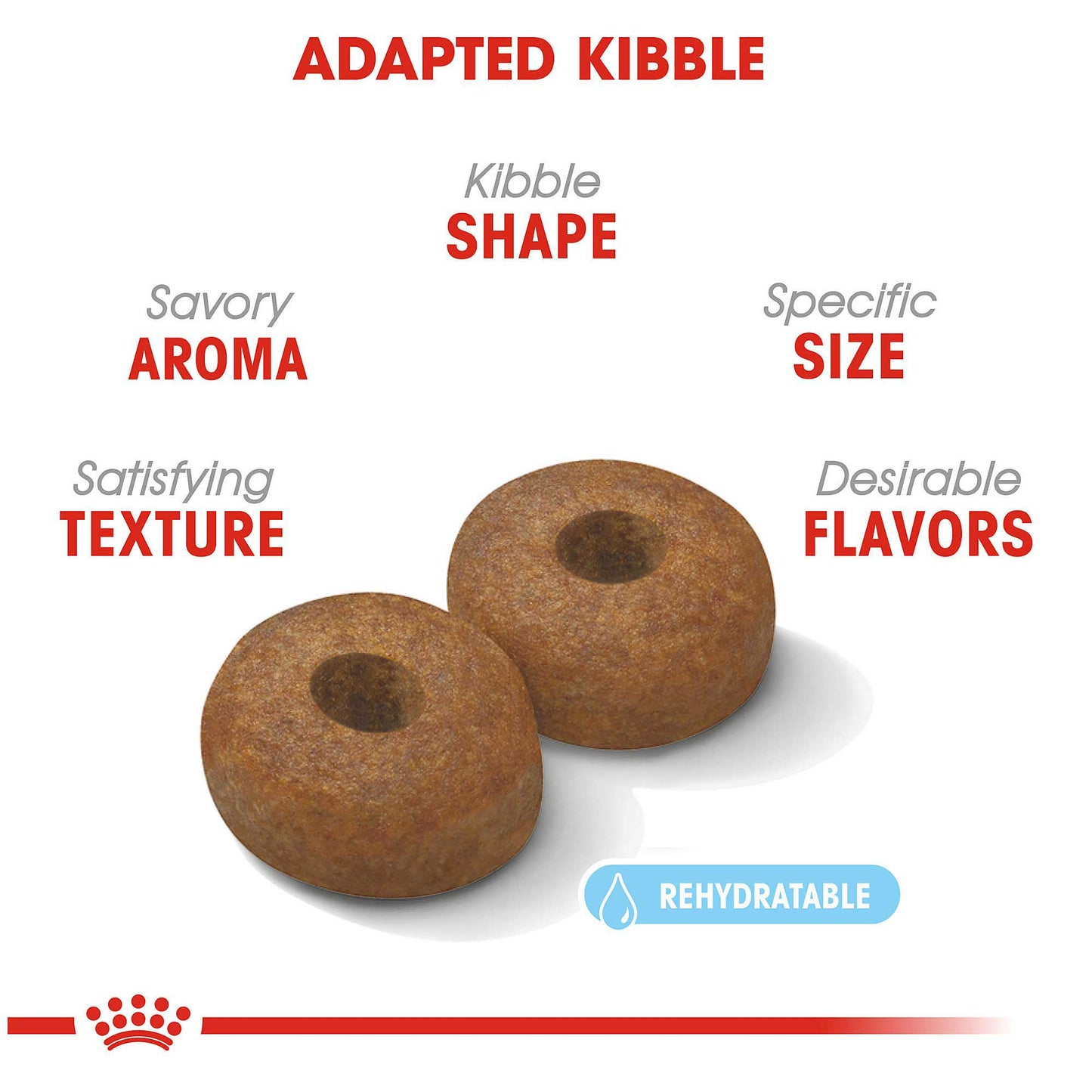 Royal Canin Maxi Ageing 8+Dog Food - PetWorld
