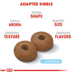 Royal Canin Maxi Ageing 8+Dog Food - PetWorld