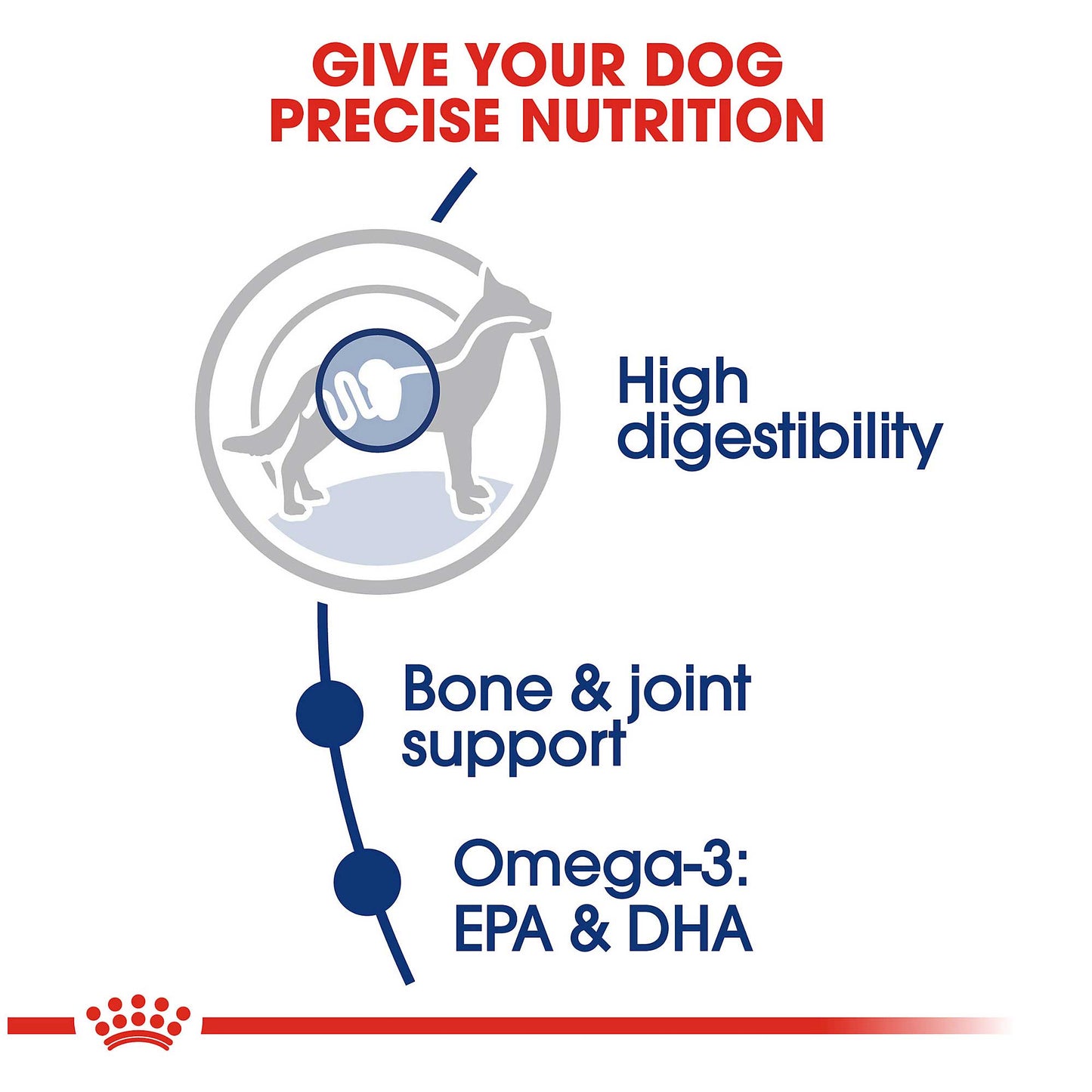 Royal Canin Maxi Adult Dog Food - PetWorld