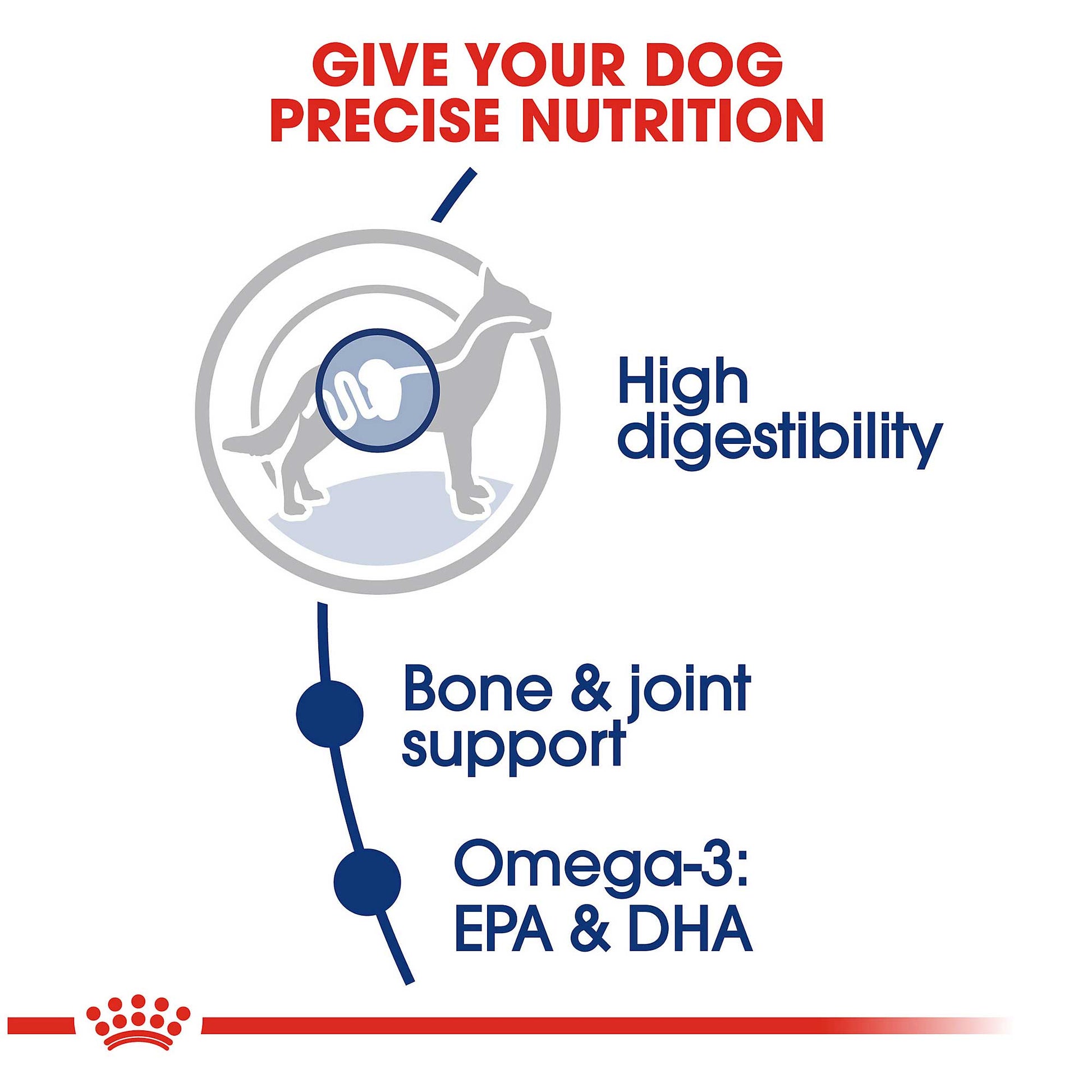 Royal Canin Maxi Adult Dog Food - PetWorld