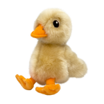 KONG Toughz Duck Medium