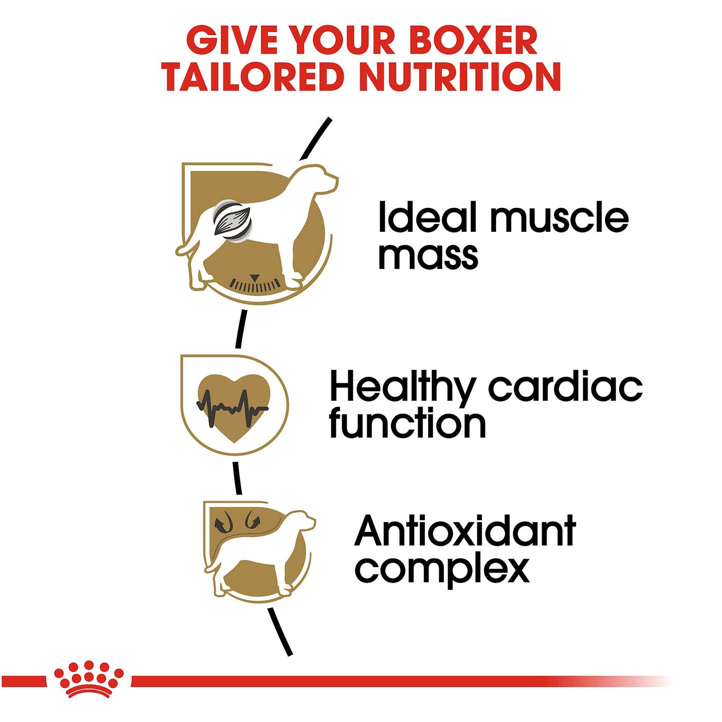 Royal Canin Adult Boxer Food - PetWorld