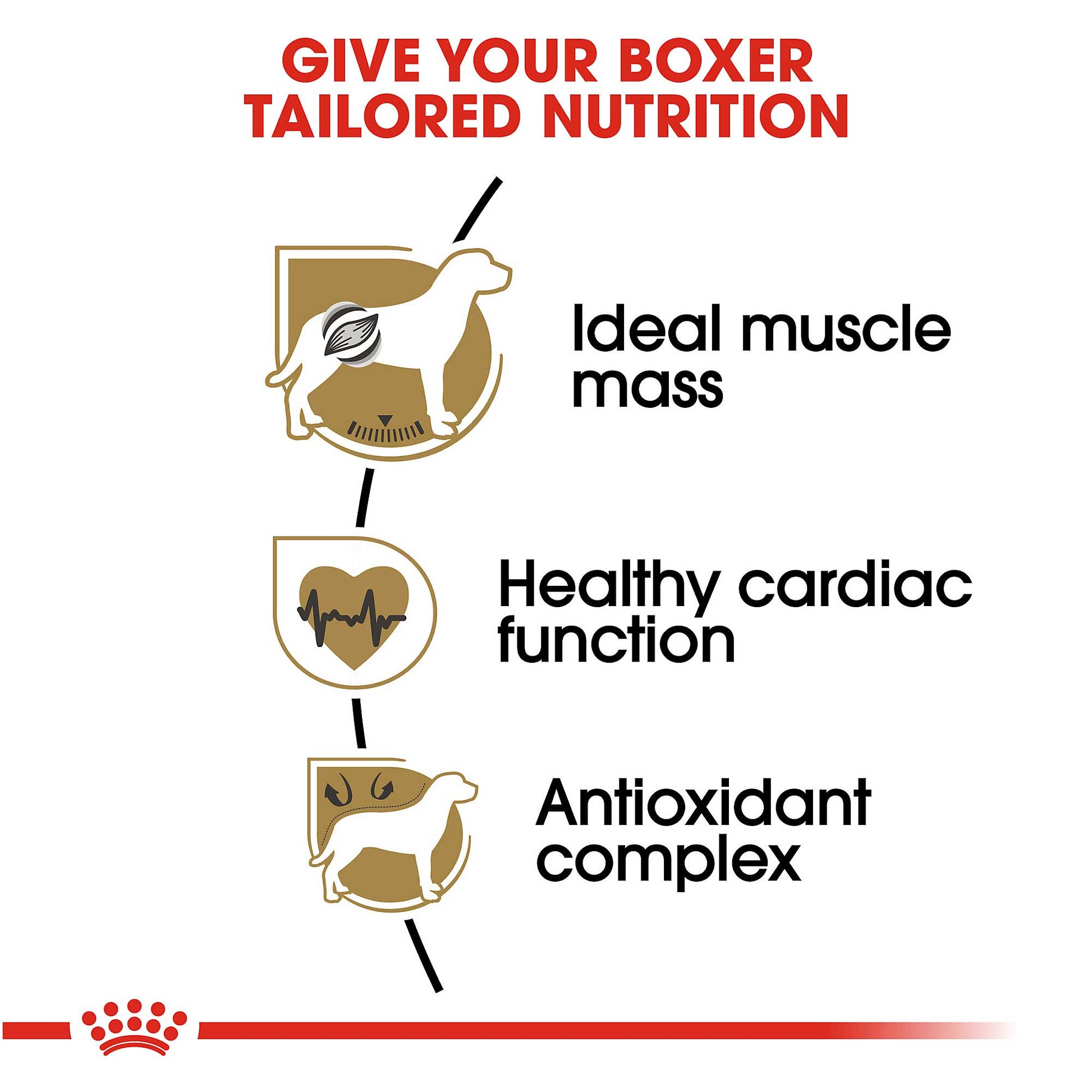 Royal Canin Adult Boxer Food - PetWorld