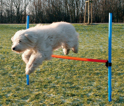 Trixie Dog Activity Agility Hurdle - PetWorld