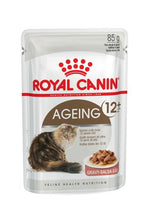 Royal Canin Ageing 12+ in Gravy 85g