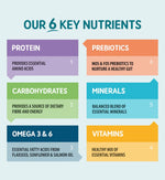 Natural wet dog food for older dogs with joint and digestive support