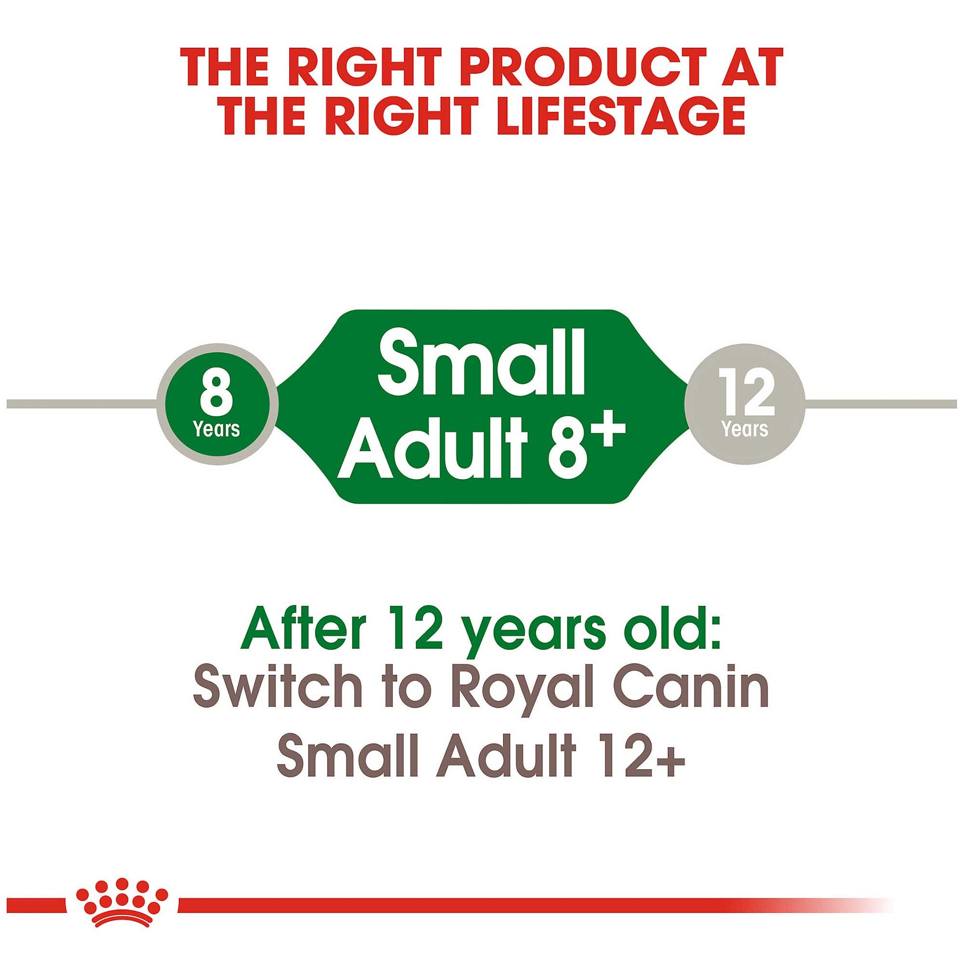 Royal Canin Mini 8+ Mature Dog Food - PetWorld