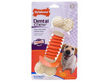 Nylabone Pro-Action Dental Chew, Small
