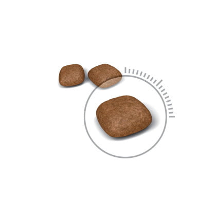 Royal Canin Urinary Care Dry Cat Food - PetWorld