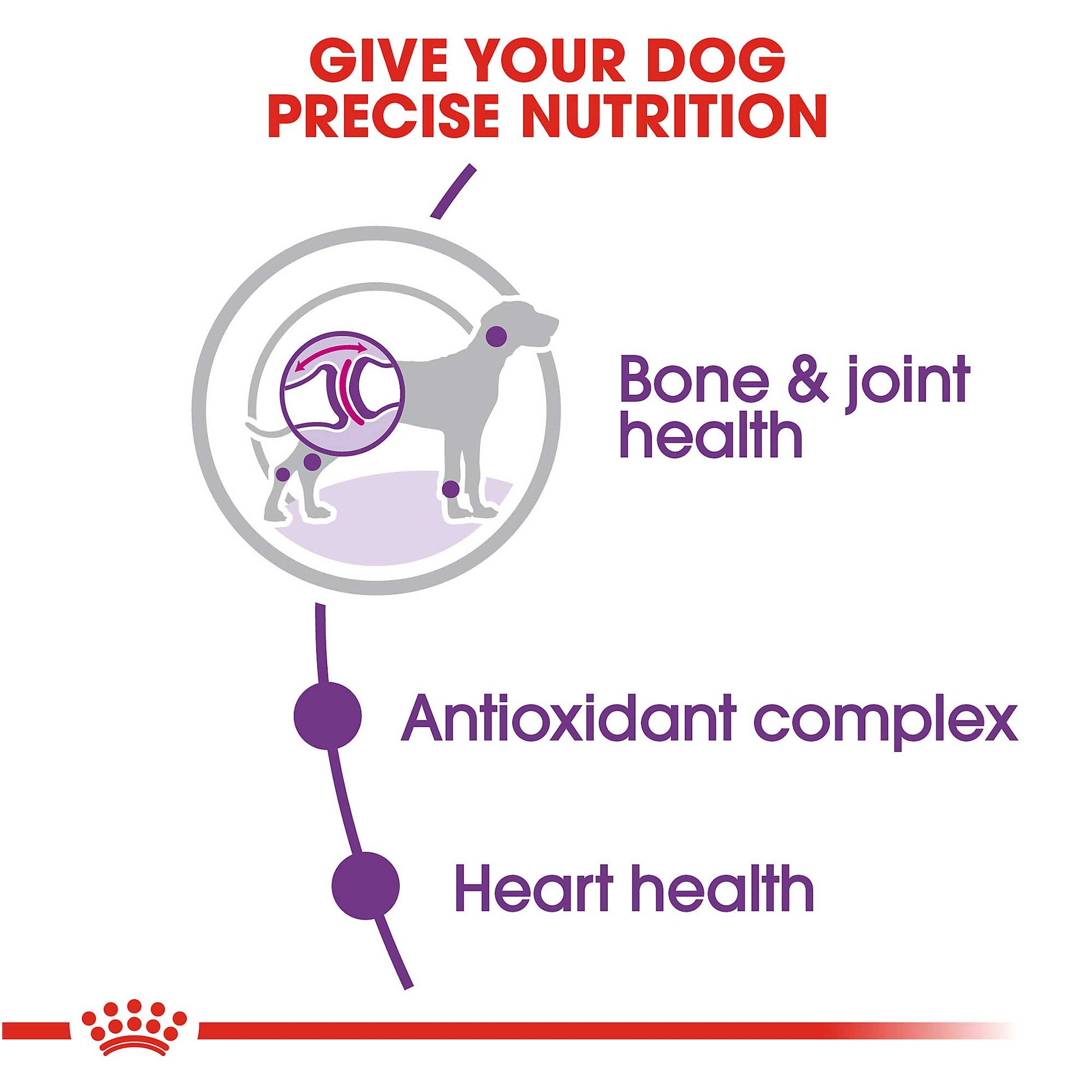 Royal Canin Giant Adult Dog Food - PetWorld