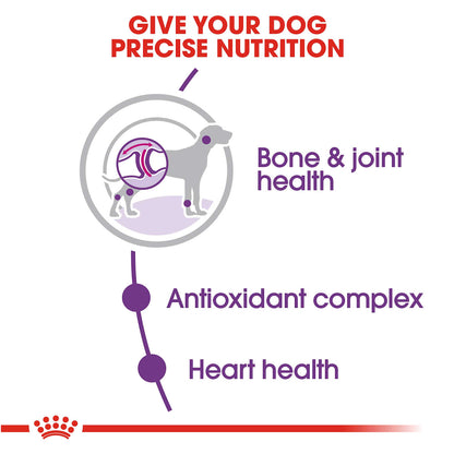 Royal Canin Giant Adult Dog Food - PetWorld