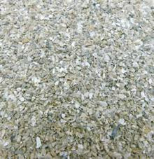 Oyster Shell Coarse - PetWorld