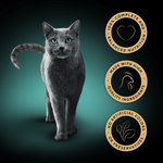Sheba benefits: complete and balanced nutrition, high quality ingredients, no artificial colours or preservatives