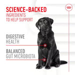 Royal Canin Digestion Chews 160g