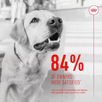 Royal Canin Digestion Chews 160g