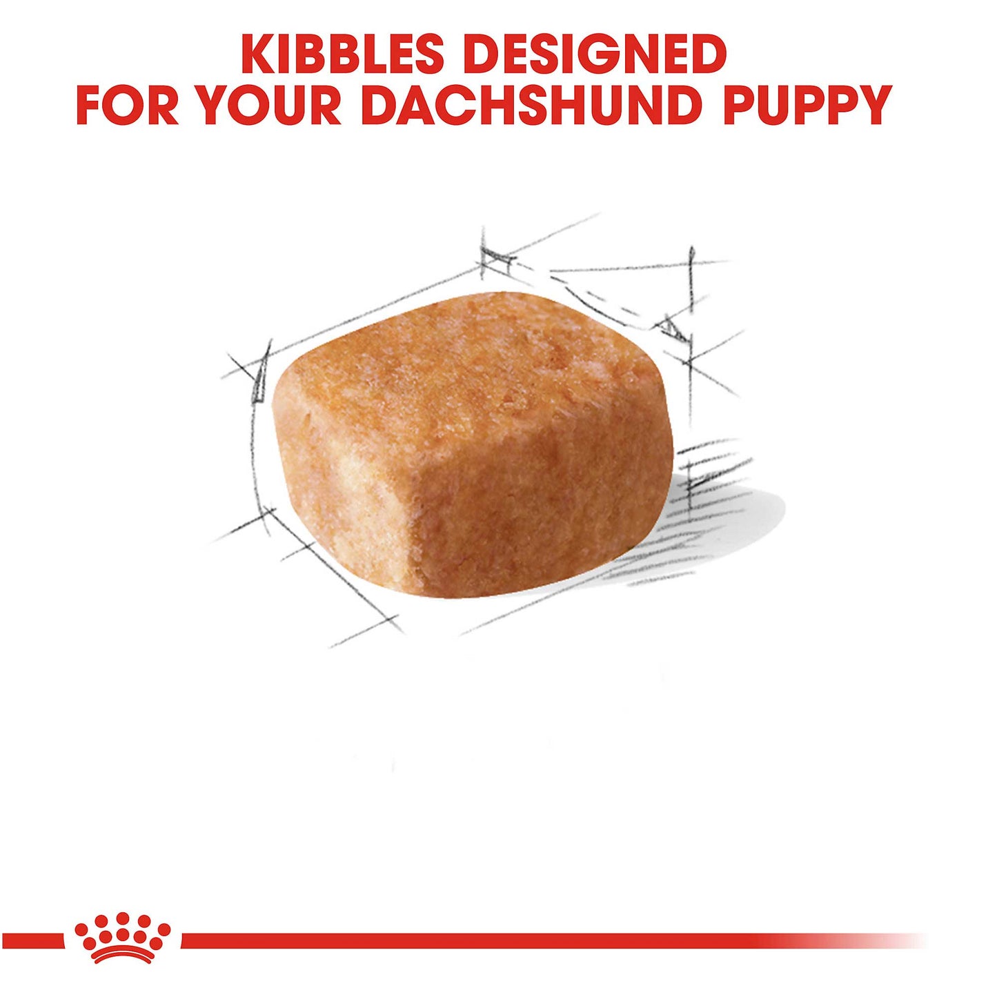 Royal Canin Dachshund Puppy 1.5Kg - PetWorld