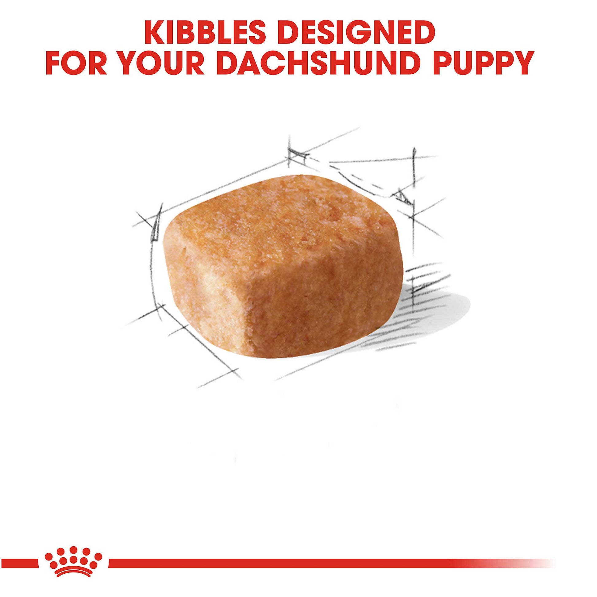 Royal Canin Dachshund Puppy 1.5Kg - PetWorld