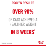 Royal Canin Light Weight Care proven results: over 90% of cats achieved a healthier weight in 8 weeks
