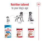Royal Canin dog food products